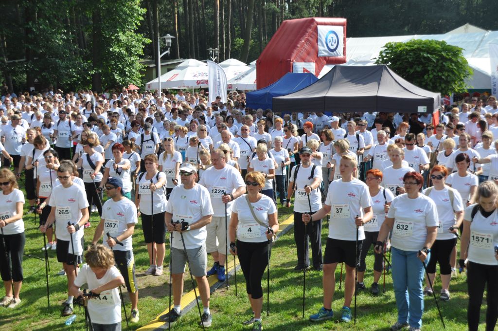 Rekord Guinnessa nieoficjalnie pobity – Nordic Walking uprawiało aż 1565 osób