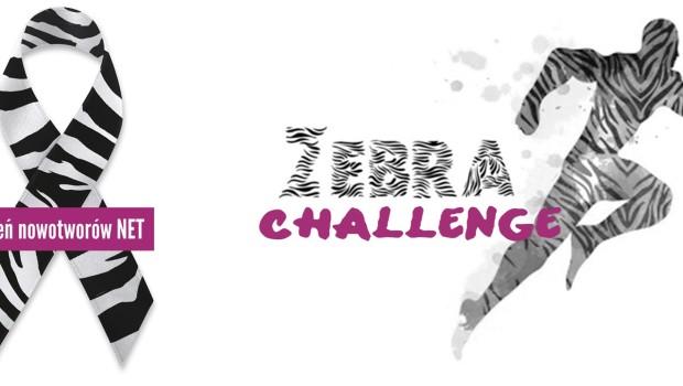 Rajd Miejski Warszawa 2014 z akcją społeczną Zebra Challenge