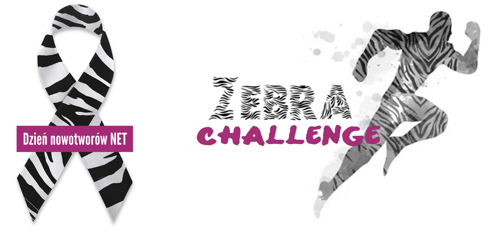 Rajd Miejski Warszawa 2014 z akcją społeczną Zebra Challenge