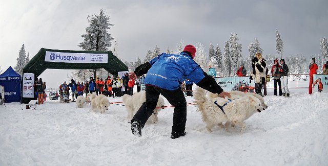 Rusza największy w Polsce coroczny wyścig psich zaprzęgów