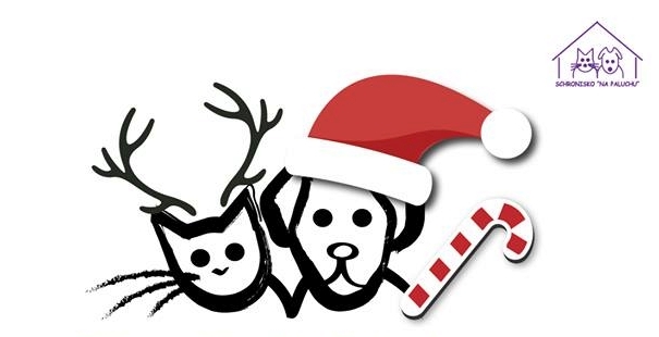 „Zostań naszym Mikołajem” – zbiórka dla bezdomnych zwierząt