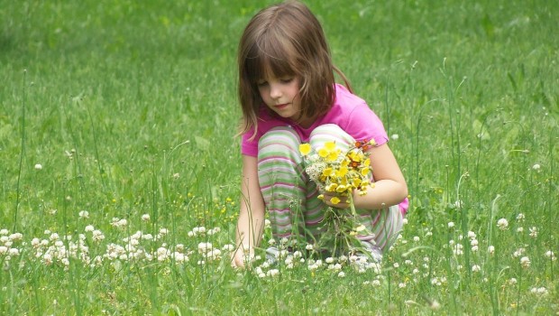 Ponad połowa polskich przedszkoli uczy dzieci ekologicznych zachowań dzięki akcji edukacyjnej „Kubusiowi Przyjaciele Natury”.