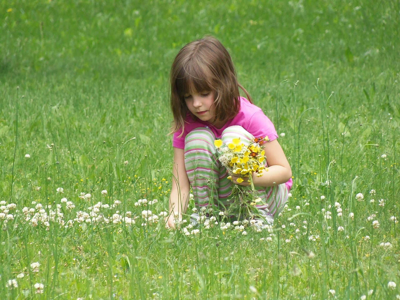 Ponad połowa polskich przedszkoli uczy dzieci ekologicznych zachowań dzięki akcji edukacyjnej „Kubusiowi Przyjaciele Natury”.