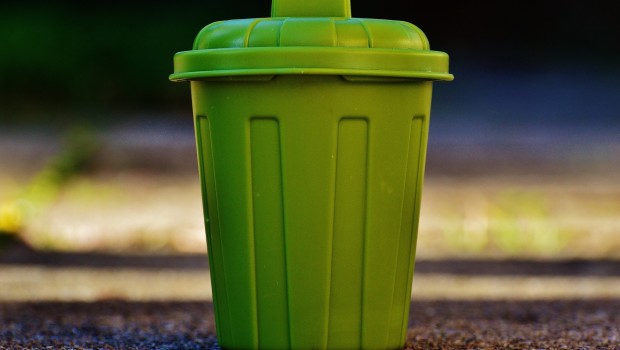Jak prawidłowo segregować śmieci, by pomóc naturze?