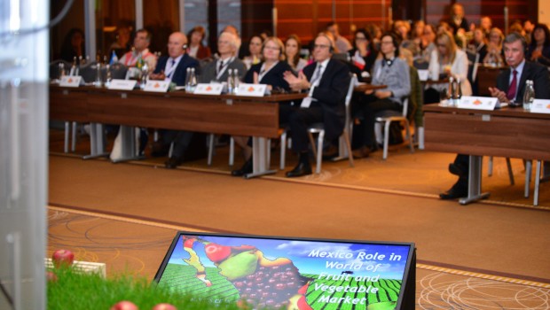Polska skuteczna w działaniach promocji owoców i warzyw na rynku wewnętrznym i rynkach zewnętrznych