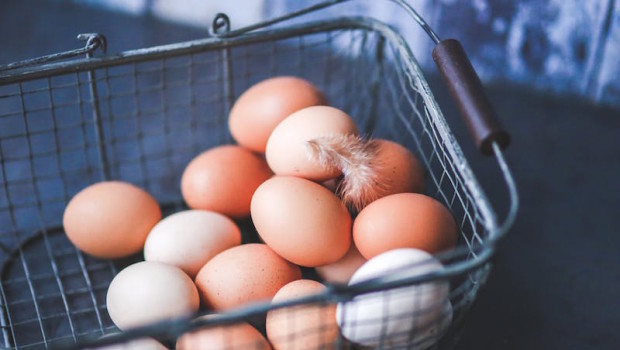 Selgros Cash&Carry zamierza wycofać ze sprzedaży jaja z chowu klatkowego