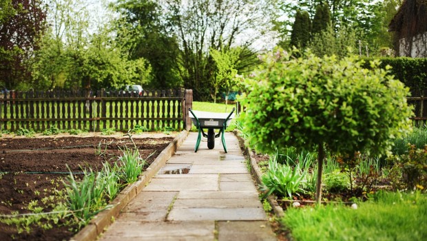 Wakacyjny ogród – czyli jak zaplanować prace na lipiec i sierpień