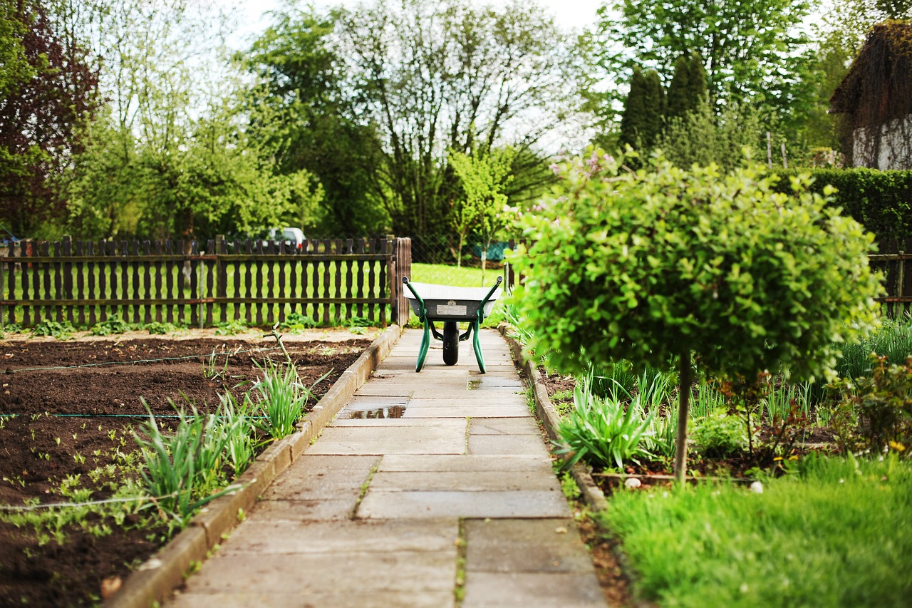 Wakacyjny ogród – czyli jak zaplanować prace na lipiec i sierpień