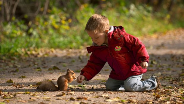 Rekordowa liczba przedszkolaków z całej Polski uczy się jak dbać o naturę