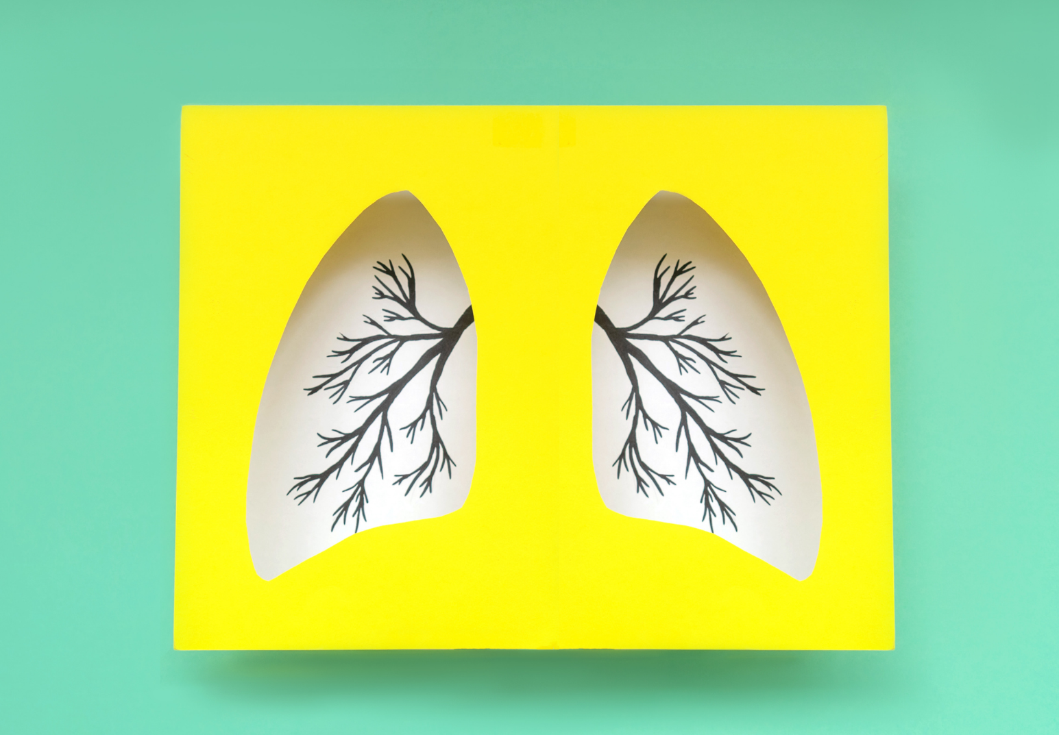 Zadbaj o płuca nie tylko od święta! 25.09 – Światowy Dzień Płuc