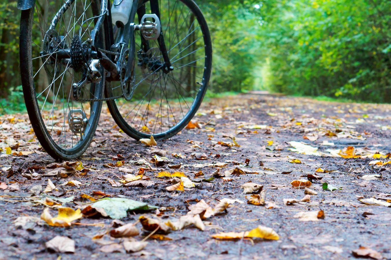 Jak bezpiecznie jeździć rowerem jesienią?